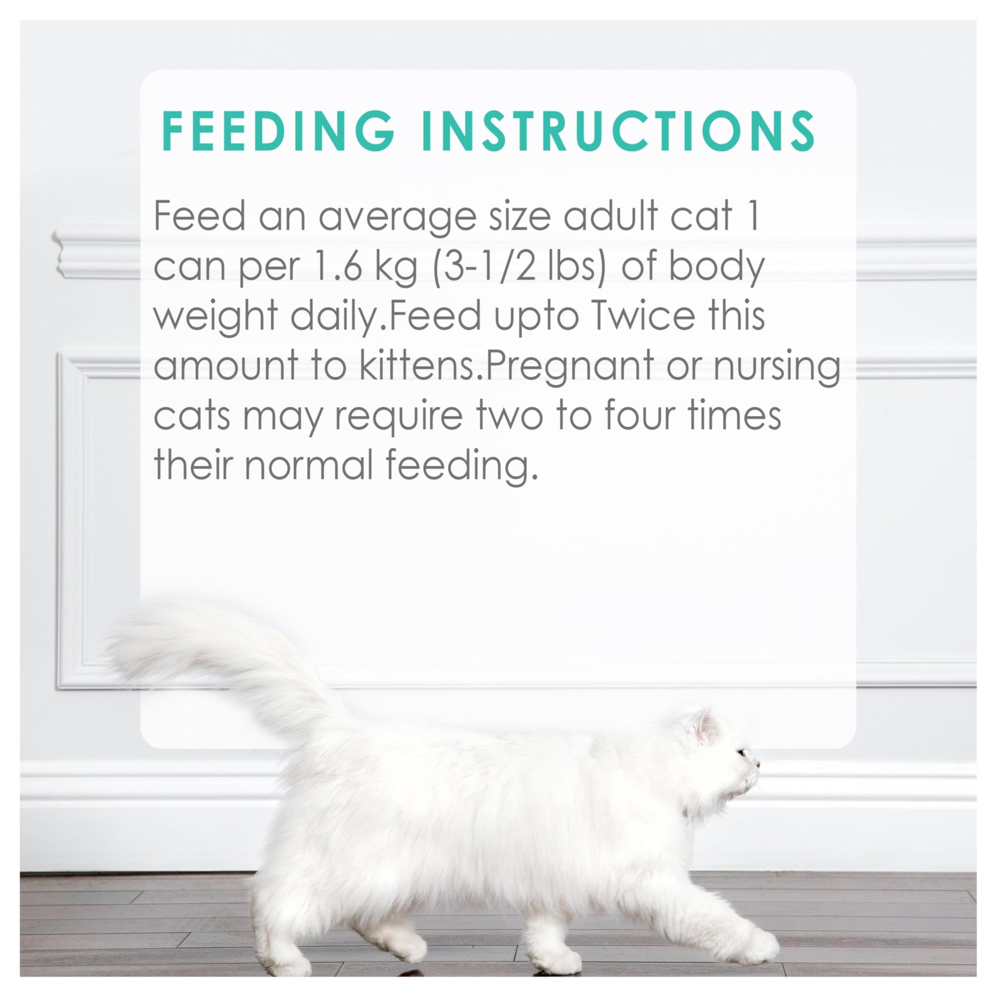 Fancy Feast Wet Cat Food, Pate Salmon & Shrimp Feast - 85 g Can (24 Pack) Fancy Feast