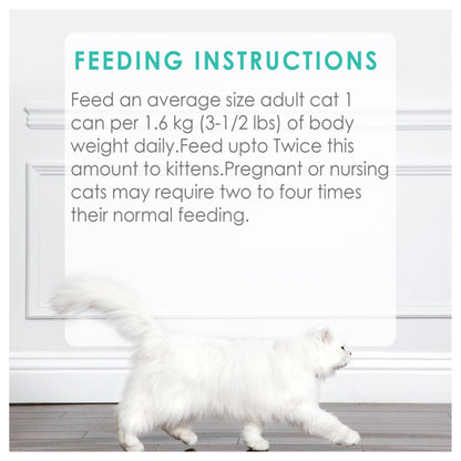 Fancy Feast Wet Cat Food, Pate Salmon & Shrimp Feast - 85 g Can (24 Pack) Fancy Feast