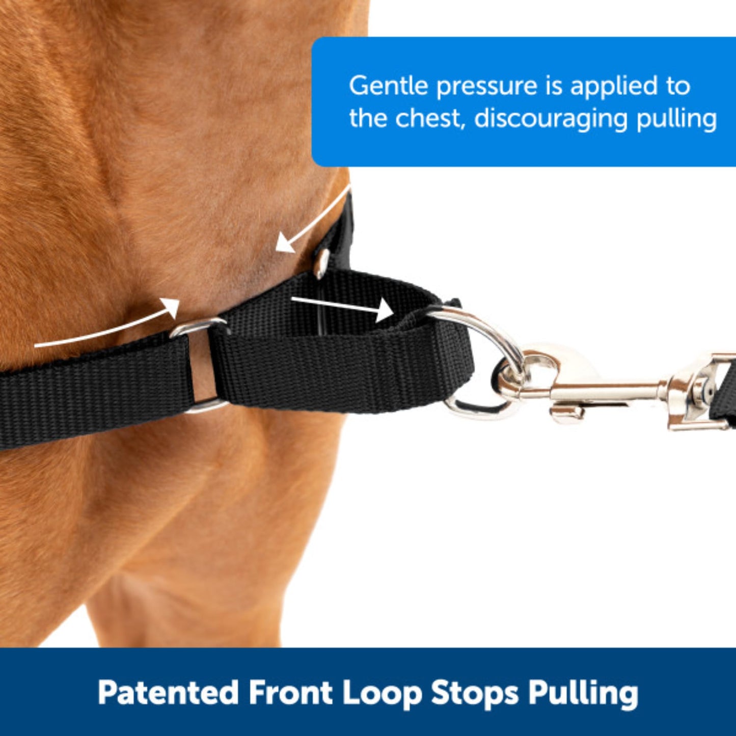 PetSafe Easy Walk Harness, No Pull Harness for Dogs, Adjustable Harness with Included Matching Lead, Black Medium Large 🍁 All In One Marketplace Canada