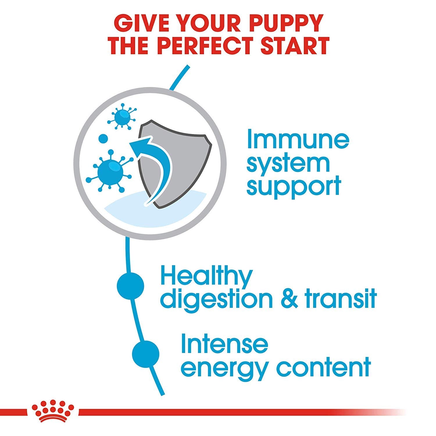 Royal Canin Size Health Nutrition X-Small Breed Dry Puppy Food, Supports Brain Development, Immune Support and Digestive Health, 3 lb Bag ROYAL CANIN