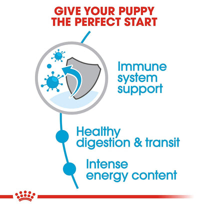 Royal Canin Size Health Nutrition X-Small Breed Dry Puppy Food, Supports Brain Development, Immune Support and Digestive Health, 3 lb Bag ROYAL CANIN