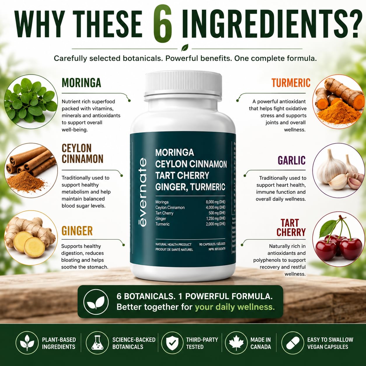 ALL-IN-ONE Moringa 8000 mg with Ceylon Cinnamon 4000 mg, Tart Cherry, Turmeric, Ginger & Garlic (Per Serving: 2 Capsules) – Antioxidant, Detox, Energy & Metabolic Support – Made in Canada - Available at All In One Marketplace Canada