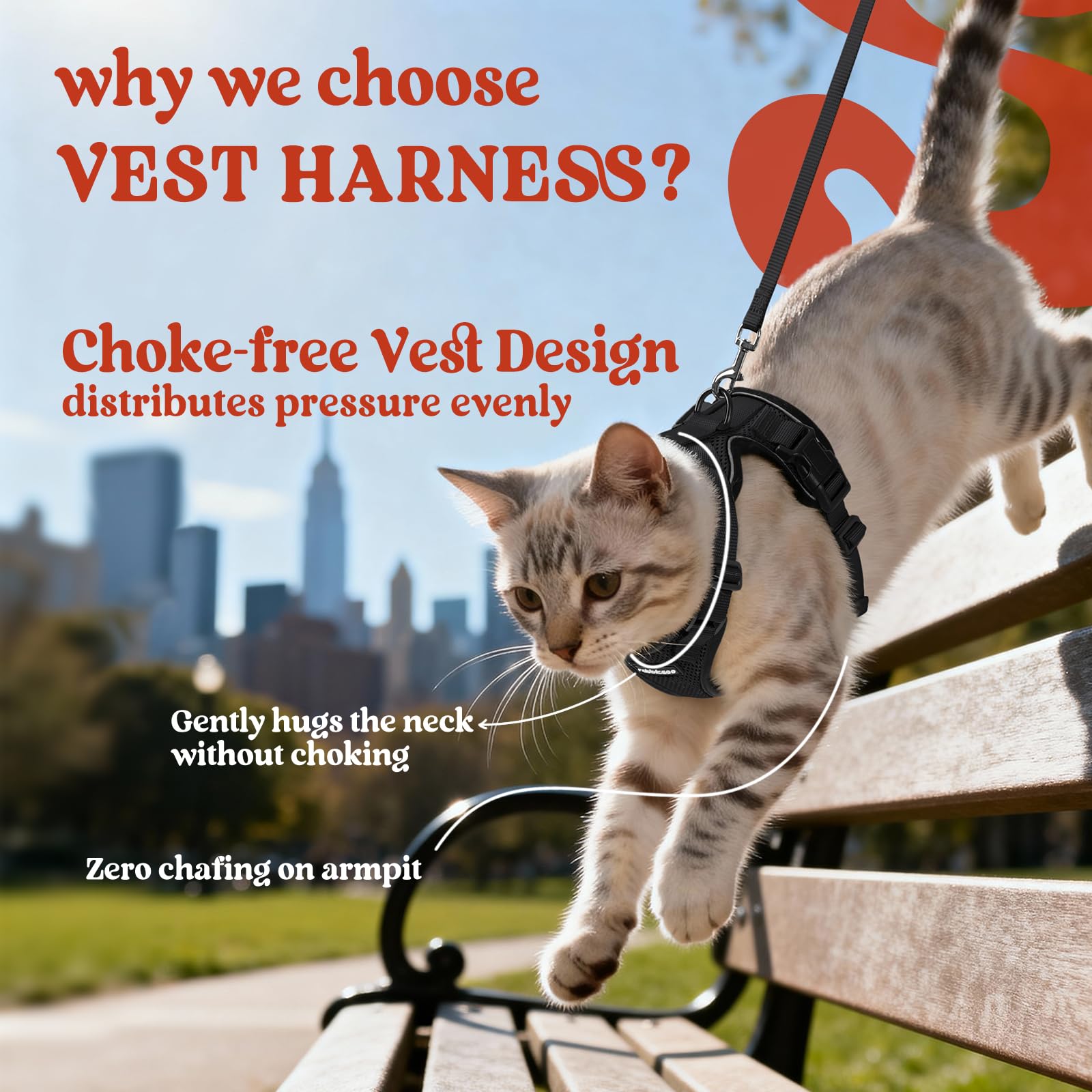 rabbitgoo Cat Harness and Leash for Walking, Escape Proof Soft Adjustable Vest Harnesses for Small Medium Cats, Easy Control Breathable Reflective Strips Jacket, XS, Black