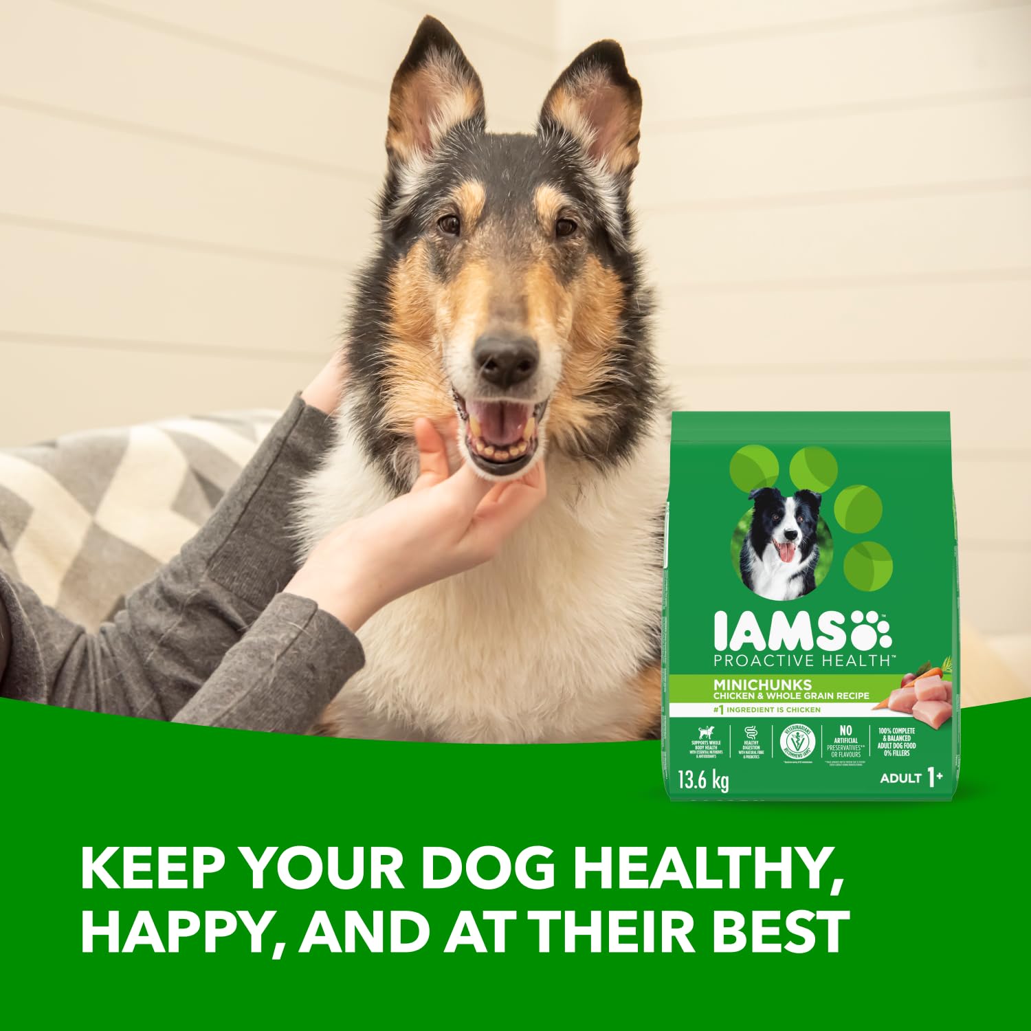 IAMS Proactive Health Minichunks Dry Dog Food – Crunchy Kibble for Adult Dogs – Chicken & Whole Grain Recipe – 13.61KG (30LB) Bag - Available at All In One Marketplace Canada