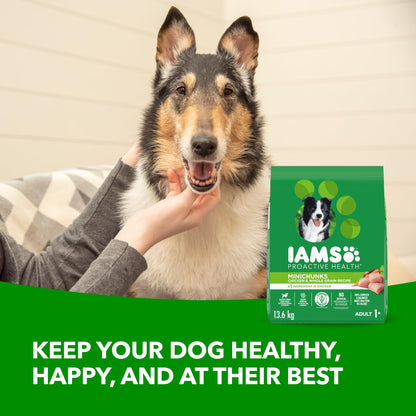IAMS Proactive Health Minichunks Dry Dog Food – Crunchy Kibble for Adult Dogs – Chicken & Whole Grain Recipe – 13.61KG (30LB) Bag - Available at All In One Marketplace Canada