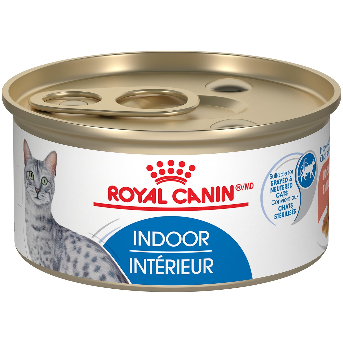 Royal Canin Feline Health Nutrition Indoor Morsels in Gravy Canned Cat Food, 3 oz can (24-Count) ROYAL CANIN