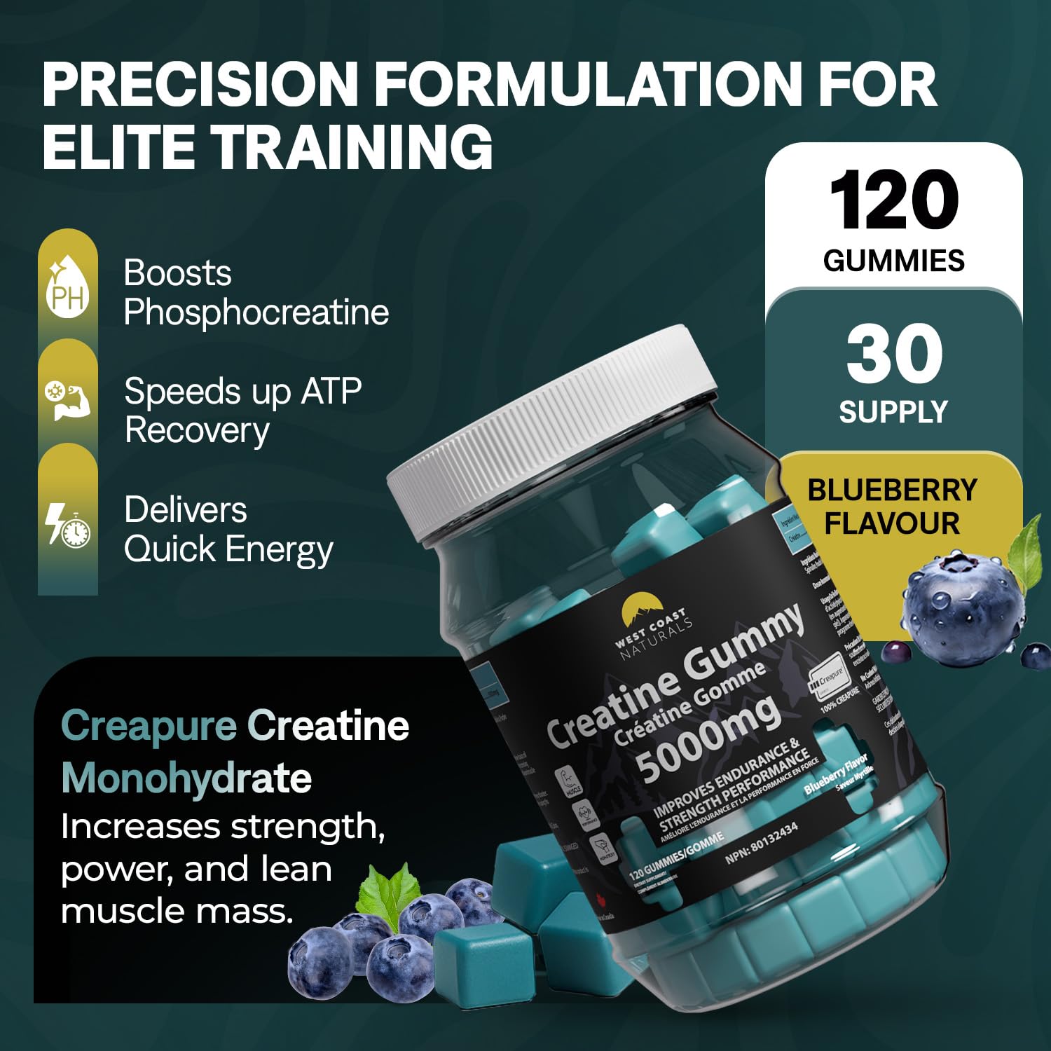 Creatine Monohydrate Gummies 5000 mg by West Coast Naturals – Blueberry Flavor, No Added Sugar, Chewable Supplement for Men and Women, Vegan – Kosher Certified – 120 Count WESTCOAST NATURALS