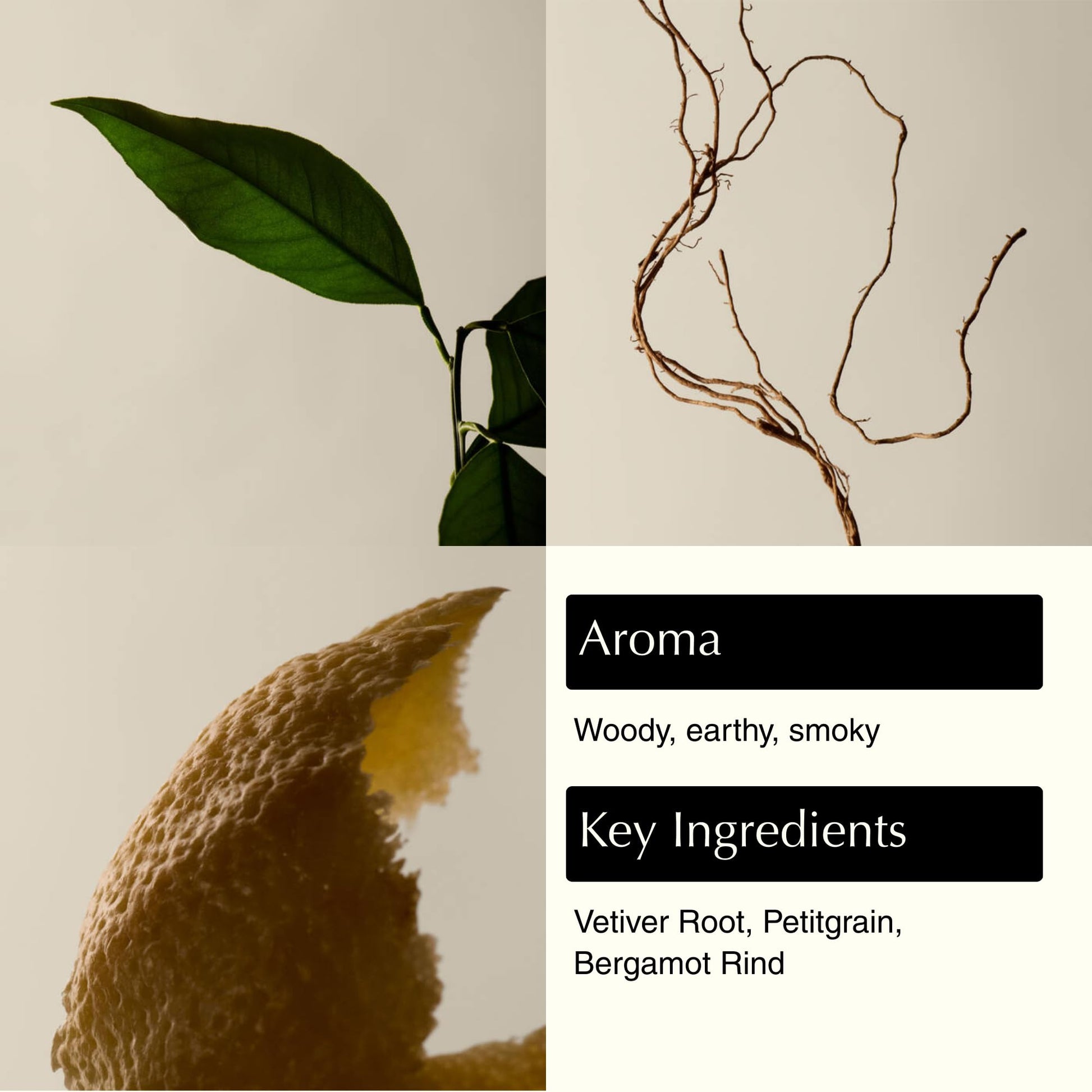 Aesop Reverence Aromatique Hand Wash | Gentle Exfoliating Hand Wash with Finely Milled Pumice | 500mL / 16.9 oz Aesop