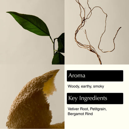 Aesop Reverence Aromatique Hand Wash | Gentle Exfoliating Hand Wash with Finely Milled Pumice | 500mL / 16.9 oz Aesop