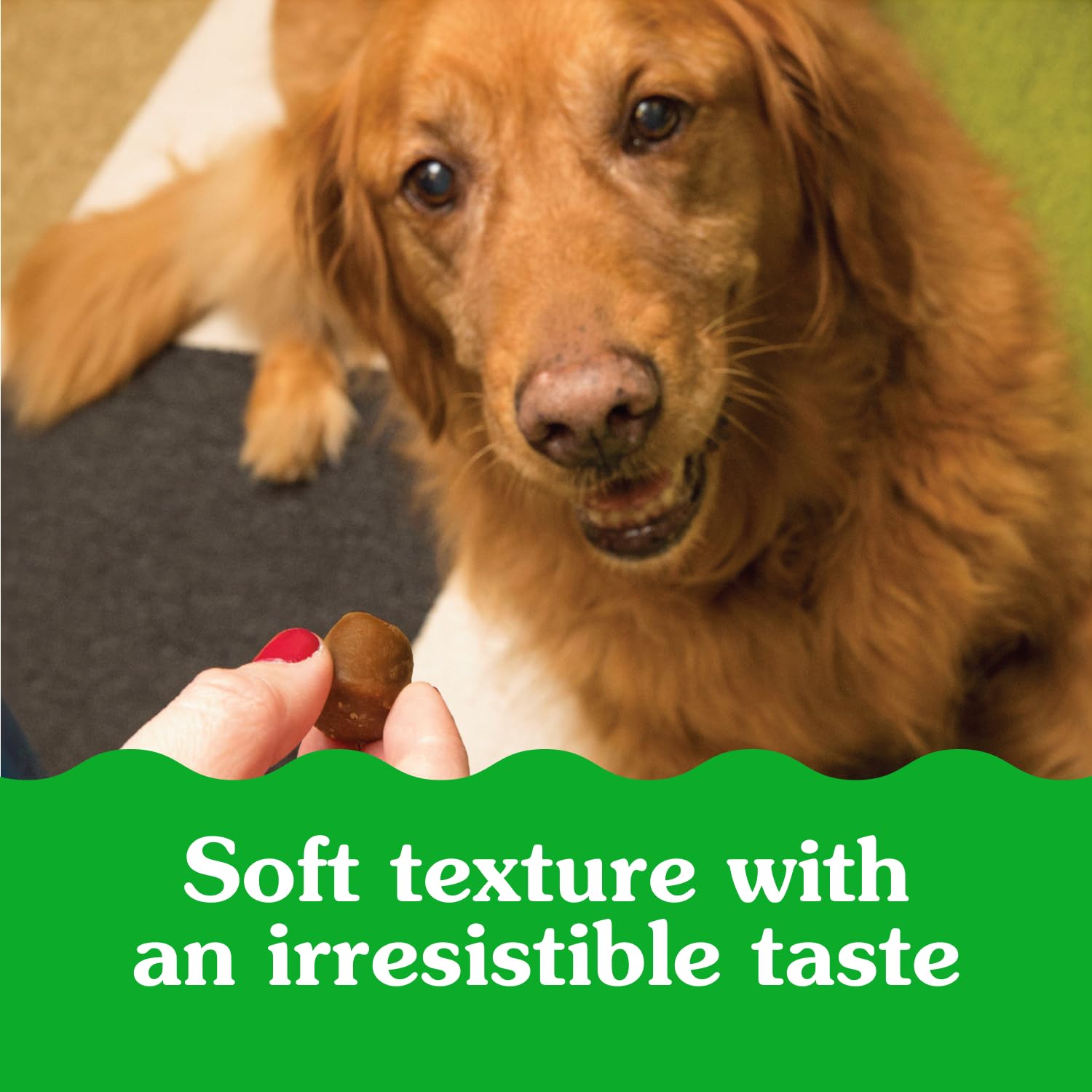 GREENIES Pill Pockets Capsule Size Natural Soft Dog Treats Chicken Flavor, (60 Treats) 15.8oz. Pack