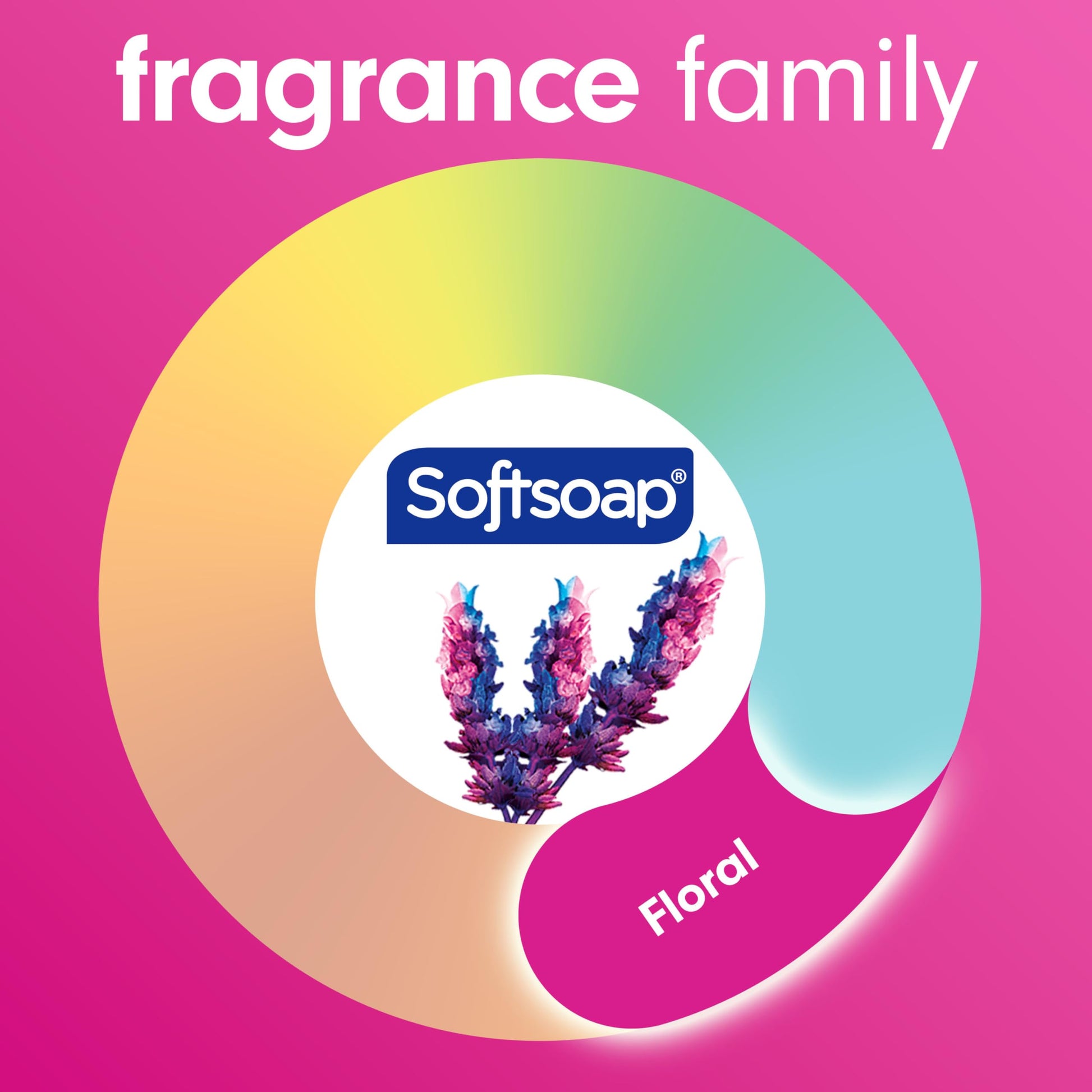 Softsoap Liquid Hand Soap, Lavender and Shea Scent, 332 mL (6 Pack) Softsoap