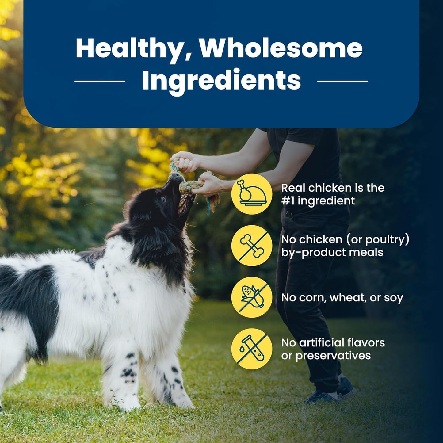 Blue Buffalo Life Protection Formula Healthy Weight Adult Dry Dog Food, Chicken & Brown Rice, Supports Immunity with Antioxidant-Rich LifeSource Bits, Promotes Lean Muscles, 11.7kg/26 lbs