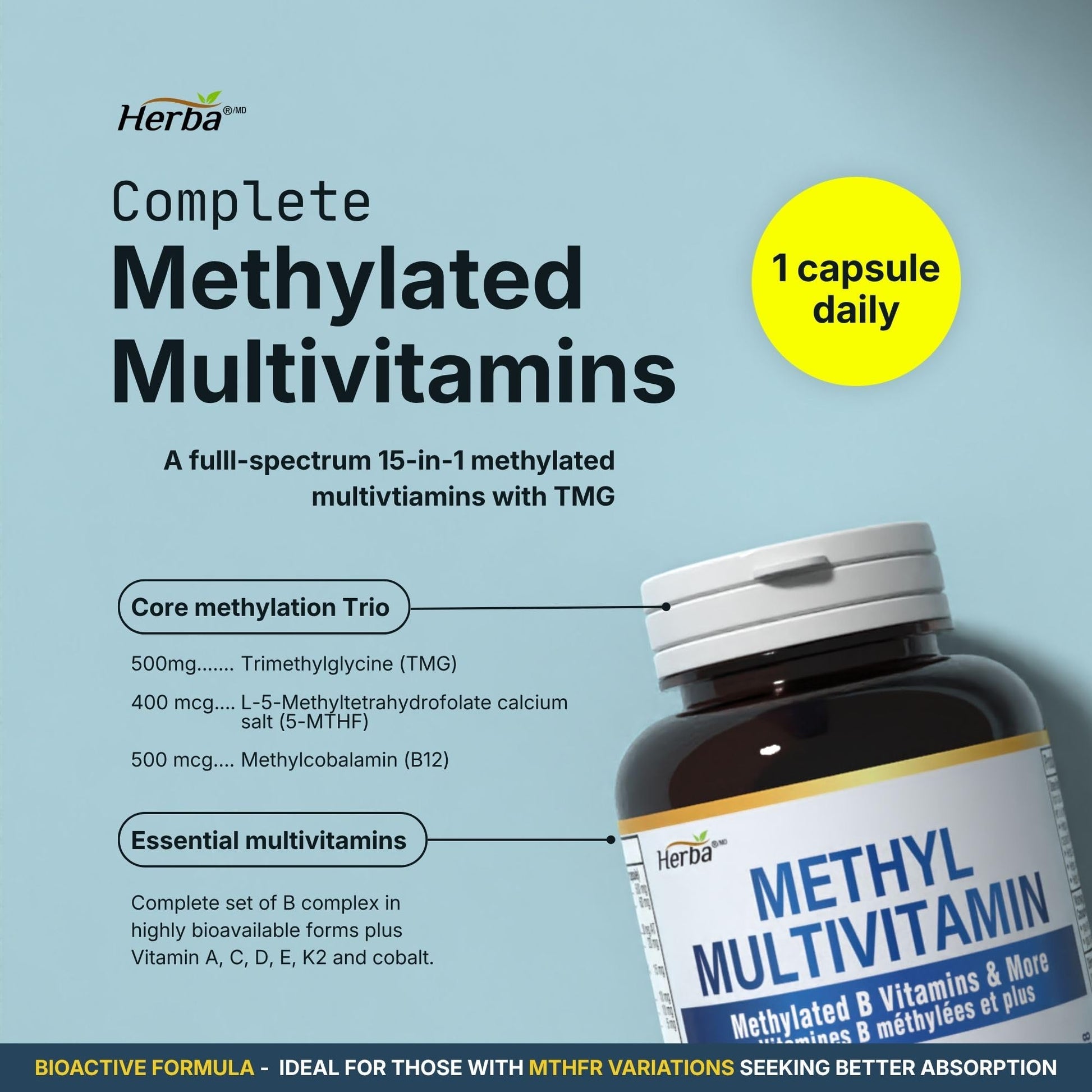 Herba Methylated Multivitamin with 500mg TMG & Methylated B Complex - 120 Capsules | 15 in 1 Formula | B Complex Vitamins for Women & Men including Methyl Folate Supplement | Vegan | Made in Canada - Available at All In One Marketplace Canada