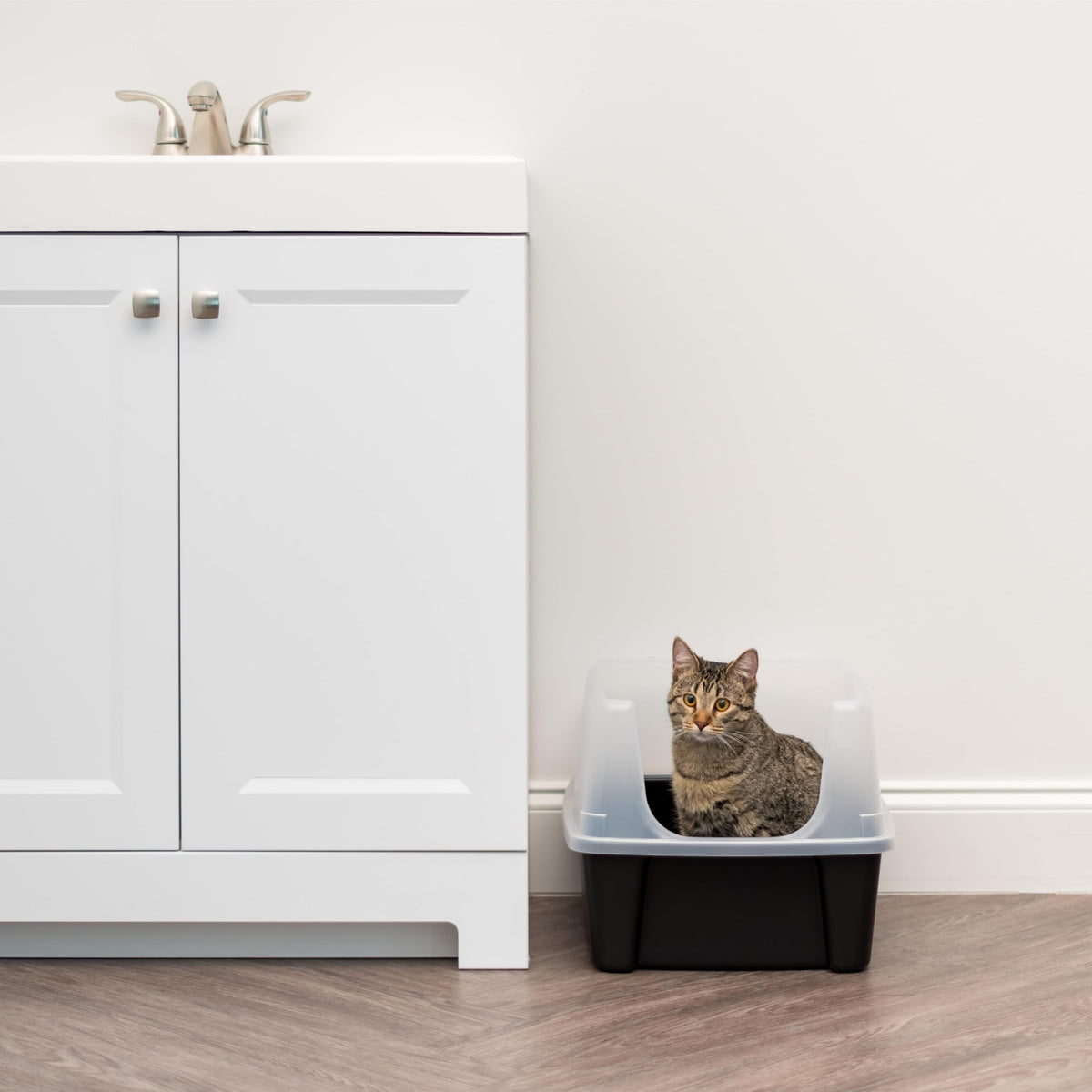 IRIS USA Large Cat Litter Box, Open Top High Sided Pan with Scoop, Black
