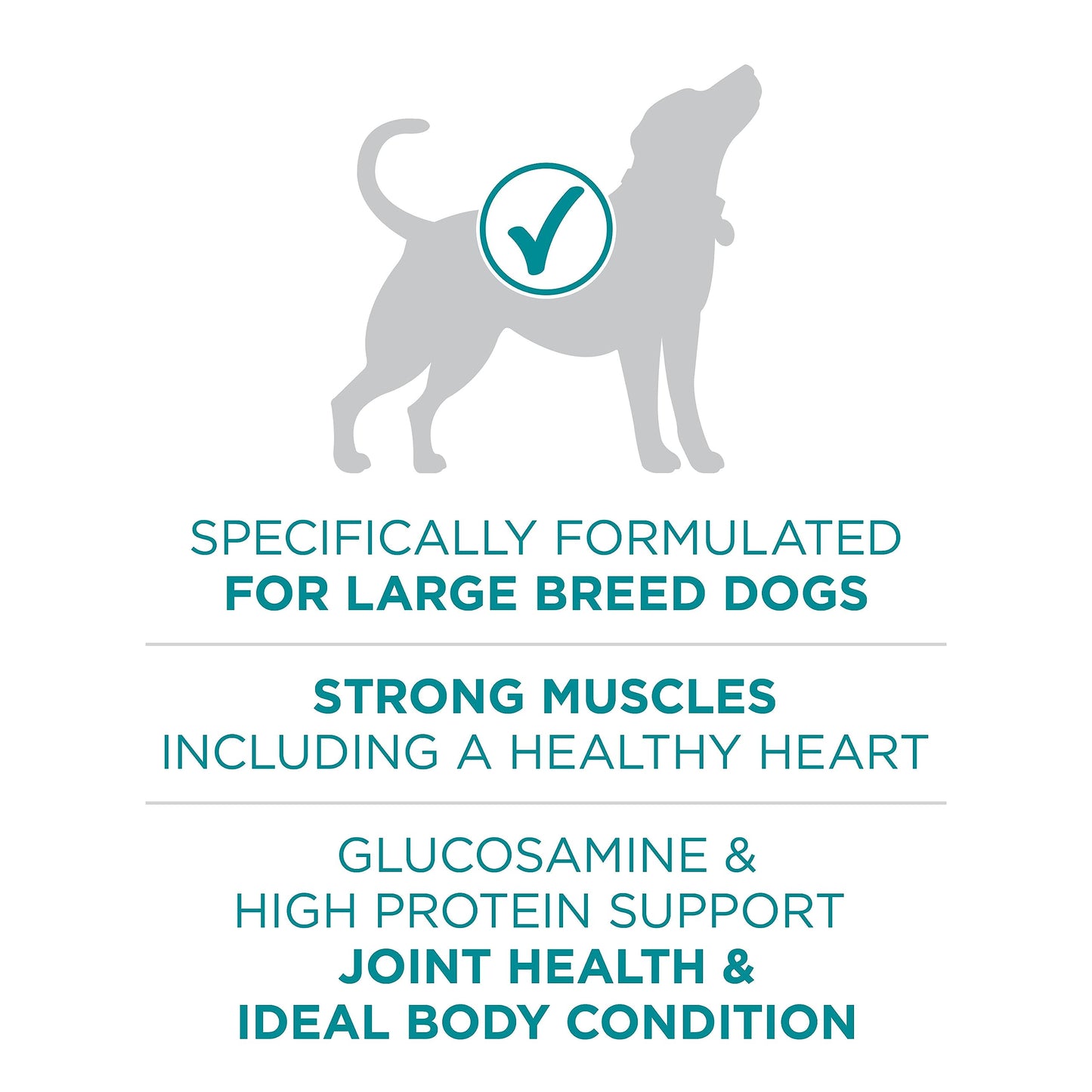 Purina ONE Dry Dog Food, +Plus Large Breed with Chicken - 7 kg Bag (1 Pack)