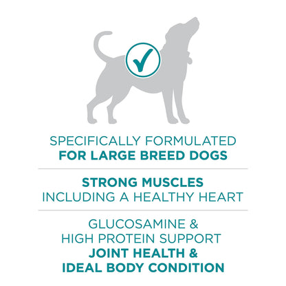 Purina ONE Dry Dog Food, +Plus Large Breed with Chicken - 7 kg Bag (1 Pack)