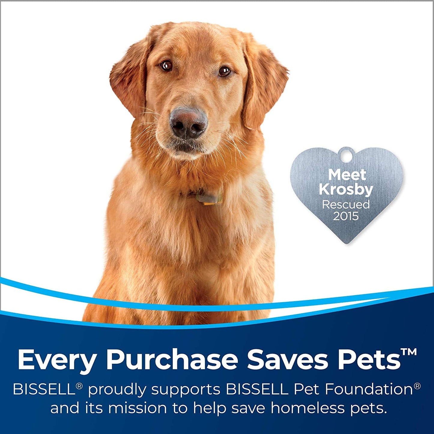 BISSELL AeroSwift Turbo Compact Upright Vacuum Cleaner, Cyclonic Dirt Separation, Built-in Lifetime Filter, TurboBrush Tool, Extension Wand, Bottom-Empty Tank, Lightweight Design, 1808B - Available at All In One Marketplace Canada