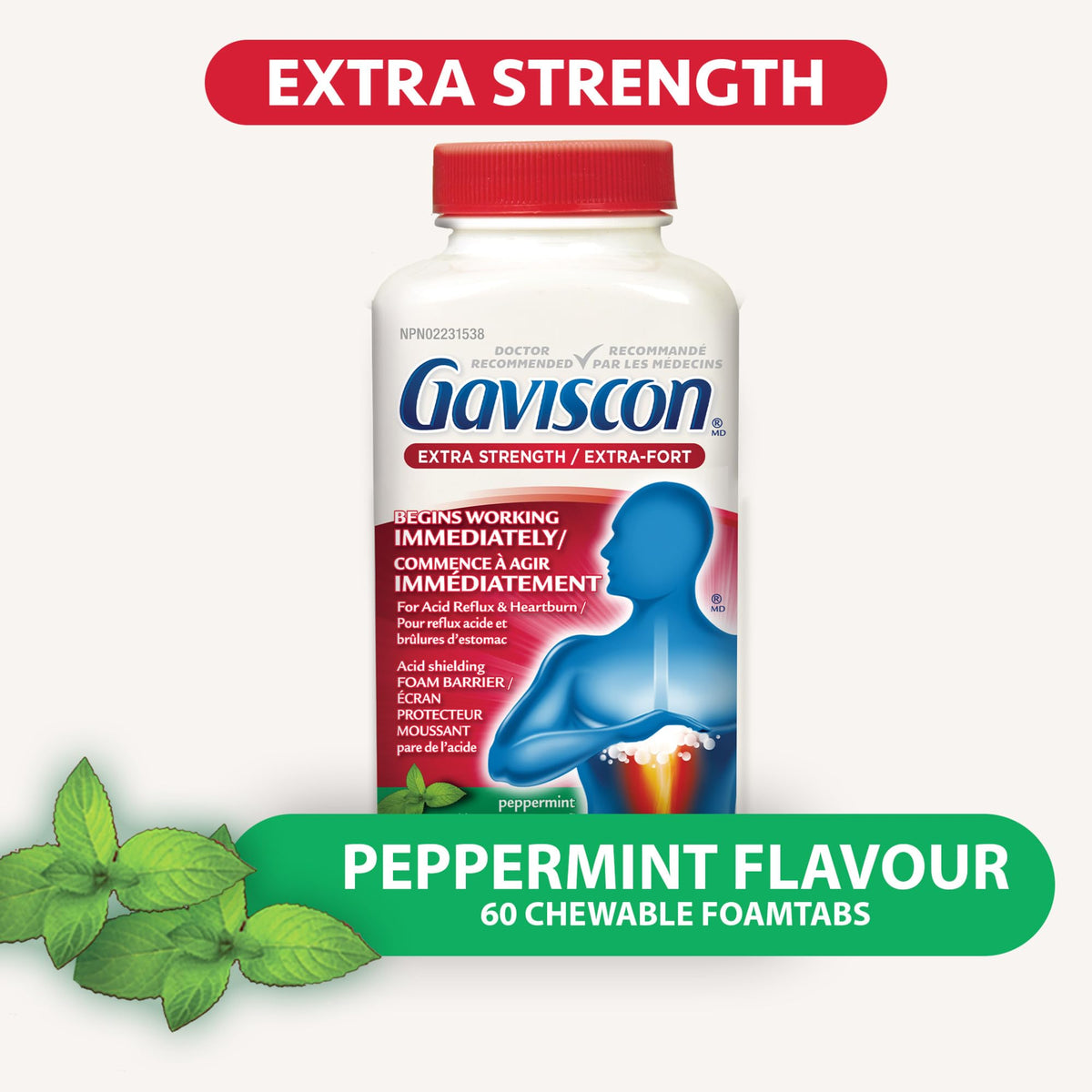 Gaviscon Extra Strength Tablets - 60 Count - Chewable Foaming Antacid Tablets for Day and Night Heartburn Relief, Acid Reflux and GERD Relief, Cooling & Refreshing Peppermint - Free of Aluminum, Lactose and Gluten 🍁 All In One Marketplace Canada
