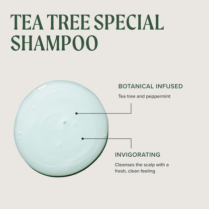Tea Tree Special Shampoo, Deep Cleans, Refreshes Scalp, For All Hair Types, Especially Oily Hair Tea Tree