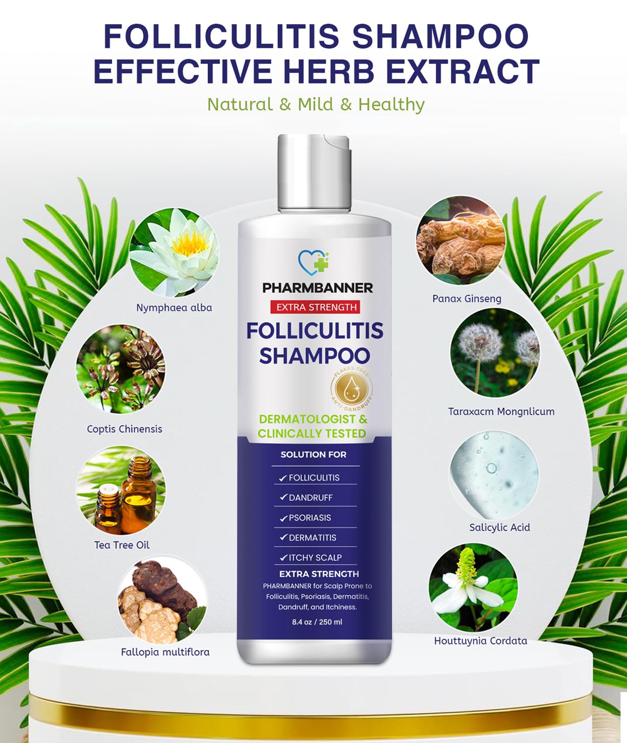 Folliculitis & Seborrheic Dermatitis Shampoo – Anti-Dandruff Scalp Care for Itchy, Flaky, Dry Scalp, Helps Relieve Irritation & Discomfort - Available at All In One Marketplace Canada