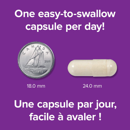 Webber Naturals Advanced Collagen + NEM, Helps Reduce Joint Pain & Stiffness, 30 Capsules, Clinically Researched - Available at All In One Marketplace Canada