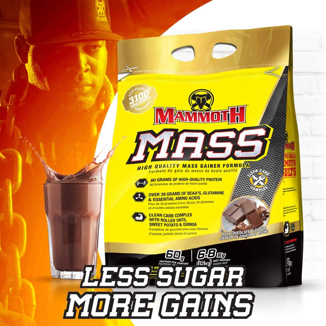 MAMMOTH MASS Weight Gainer Protein Powder – High Calorie Muscle Building Shake, Whey Isolate & Casein Blend, Low Sugar, 15 lb, Chocolate