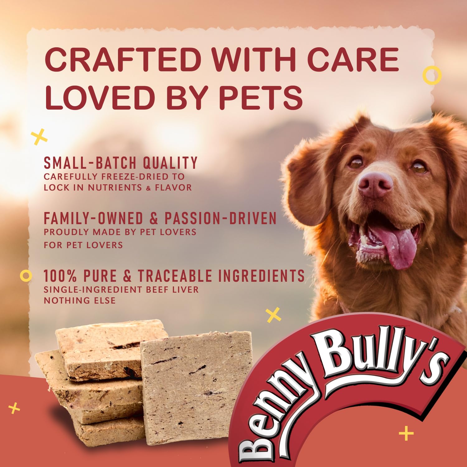 Benny BULLYS Chops Beef Liver Dog Treats, Freeze-Dried, Low Fat, High Energy & Nutrient Rich Food for Your Furry Friend, All Natural Ingredients 2X Small Bites- 520g/ 18.3oz Benny Bullys