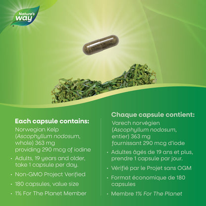 Nature’s Way Kelp - Iodine Supplement for Thyroid Support from Kelp - Non-GMO - 180 Vegetarian Capsules, Value Size Nature's Way