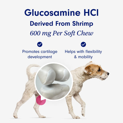 Petlab Co. Joint Care Chews, High Levels of Glucosamine for Dogs, Green Lipped Mussels, Omega 3 and Turmeric, Dog Hip and Joint Supplement to Actively Support Mobility, Packaging May Vary