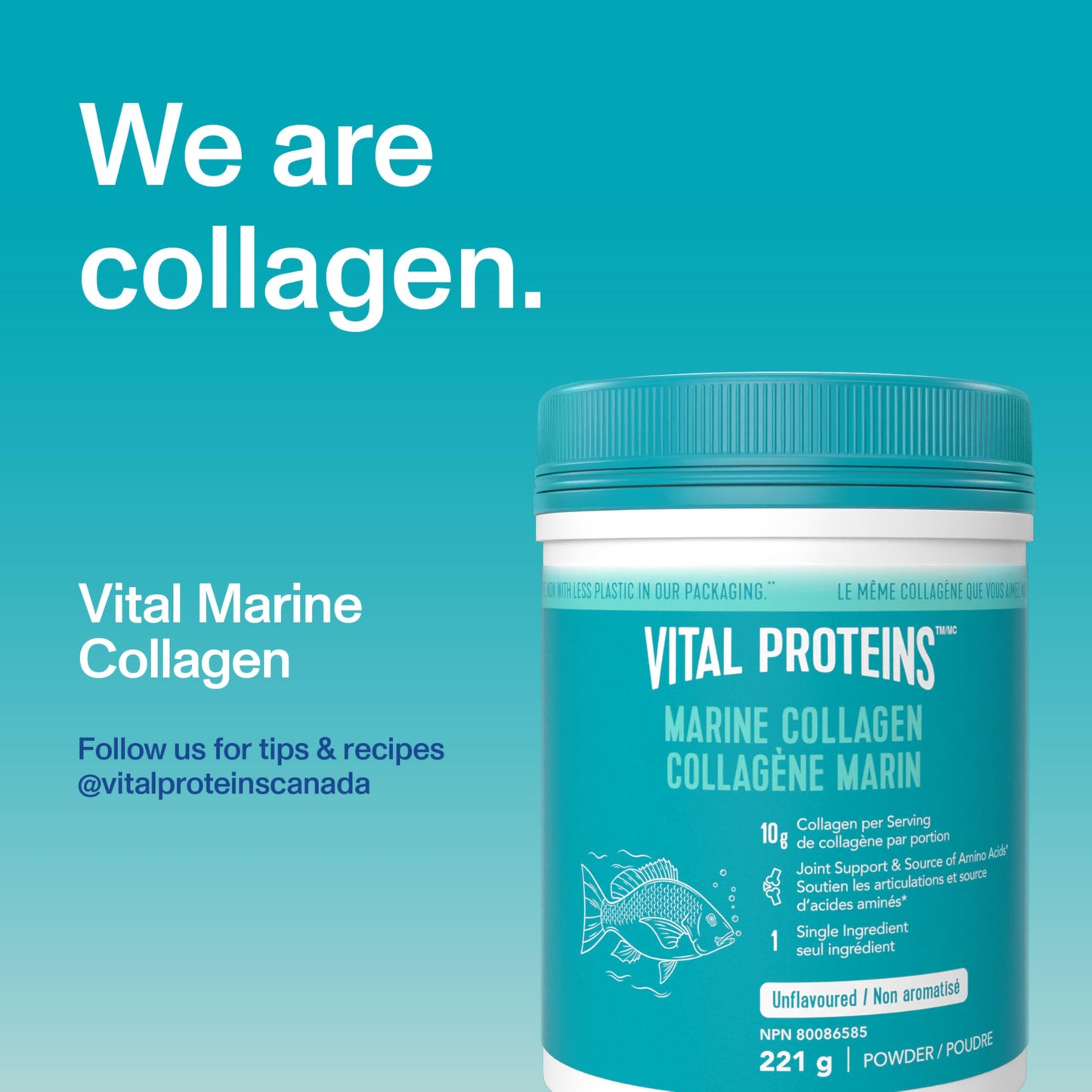 VITAL PROTEINS Marine Collagen Peptides Powder, Helps Form Collagen And Reduce Joint Pain Associated With Osteoarthritis, Source Of Amino Acids, No Added Sugar, No Artificial Colours Or Flavours, 221 g - Available at All In One Marketplace Canada