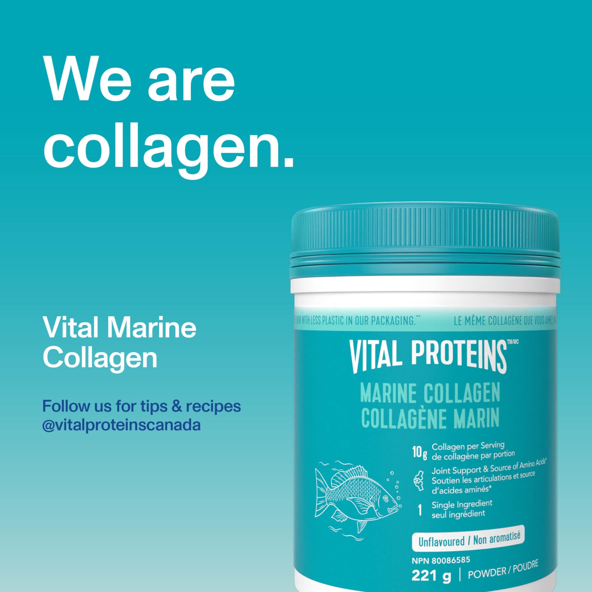 VITAL PROTEINS Marine Collagen Peptides Powder, Helps Form Collagen And Reduce Joint Pain Associated With Osteoarthritis, Source Of Amino Acids, No Added Sugar, No Artificial Colours Or Flavours, 221 g - Available at All In One Marketplace Canada