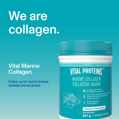 VITAL PROTEINS Marine Collagen Peptides Powder, Helps Form Collagen And Reduce Joint Pain Associated With Osteoarthritis, Source Of Amino Acids, No Added Sugar, No Artificial Colours Or Flavours, 221 g - Available at All In One Marketplace Canada