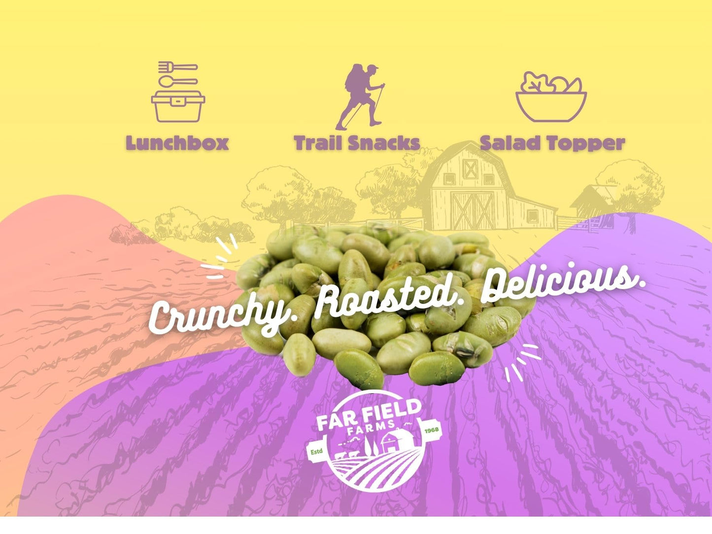 Urbani Far Field Roasted Edamame Variety Pack - 30 x 26g Bags, 11g Protein Per Serving