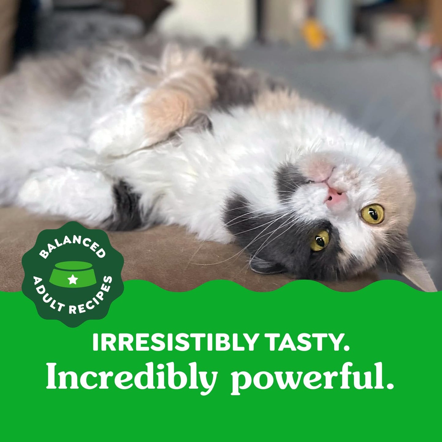 GREENIES Feline Cat Treats Natural Dental Care, Oven Roasted Chicken Flavour, 21oz. Tub