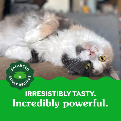 GREENIES Feline Cat Treats Natural Dental Care, Oven Roasted Chicken Flavour, 21oz. Tub