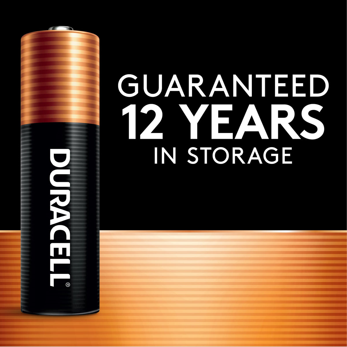 Duracell Coppertop AA Batteries, 16 Count, 12-Year Shelf Life, Long-Lasting
