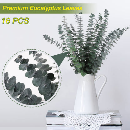 16Pcs-Preserved-Dried-Eucalyptus-Branches,17" Pure Natural Fresh Eucalyptus Plant for Shower, Real Eucalyptus Bunch for Vase Filler, Present for Mother, Dried Flowers Arrangement, Floral Home Decor - Available at All In One Marketplace Canada