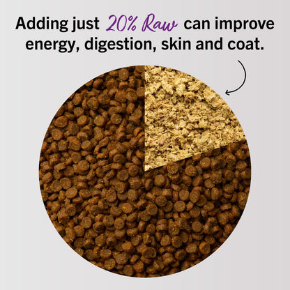 Stella & Chewy's Freeze-Dried Raw Cat Dinner Morsels – Grain Free, Protein Rich Cat & Kitten Food – Chick Chick Chicken Recipe – 510g Bag 🍁 All In One Marketplace Canada