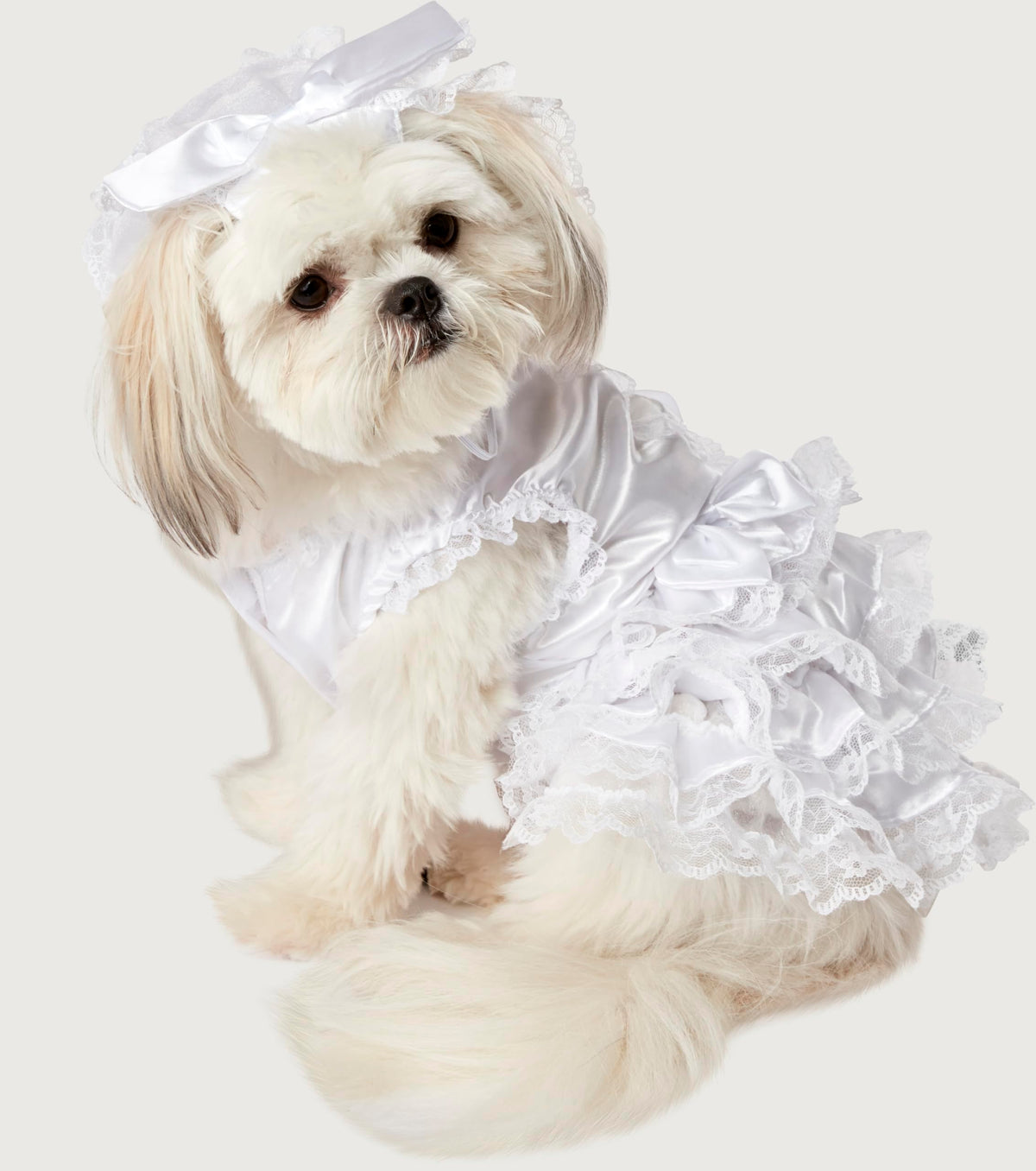 Costume pour animal de compagnie, collection Halloween Classics de Rubies Costume Co, taille moyenne, mariée