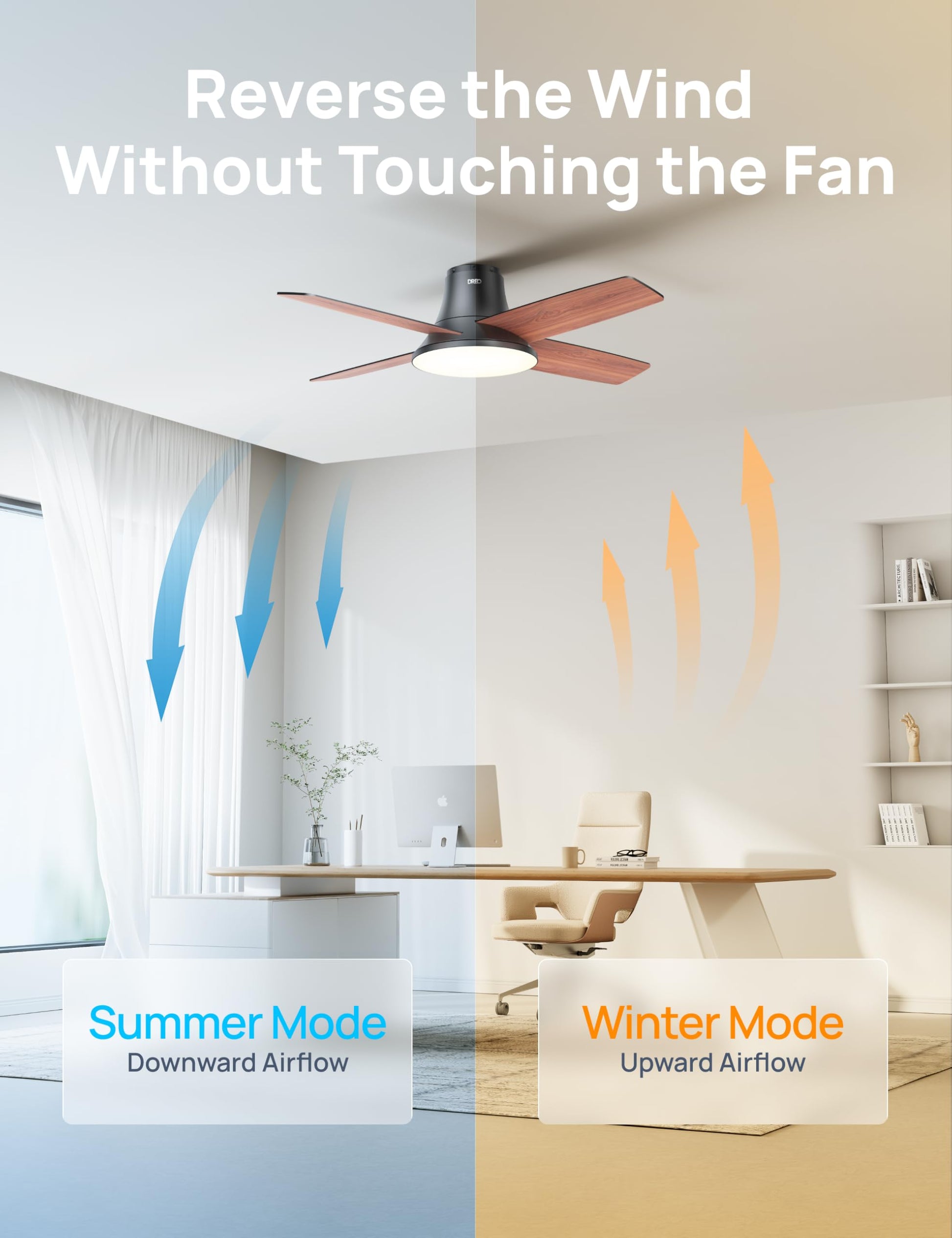 Dreo Ceiling Fans with Lights, 12 Speeds & 3 Fan Modes, Quiet DC Motor, Low Profile Easy to Install, Flush Mount Smart Ceiling Fan with Dimmable LED, 12H Timer for Bedroom, Remote, Black, 44'' DREO