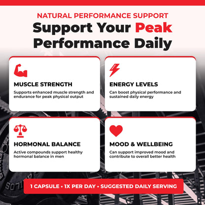 Nutratology® Tongkat Ali Supplement For Men | Canadian Made | 100:1 Extra Strength Tongkat Ali Extract + Black Pepper | Supports Male Vitality & Performance | 60 Capsules - Available at All In One Marketplace Canada