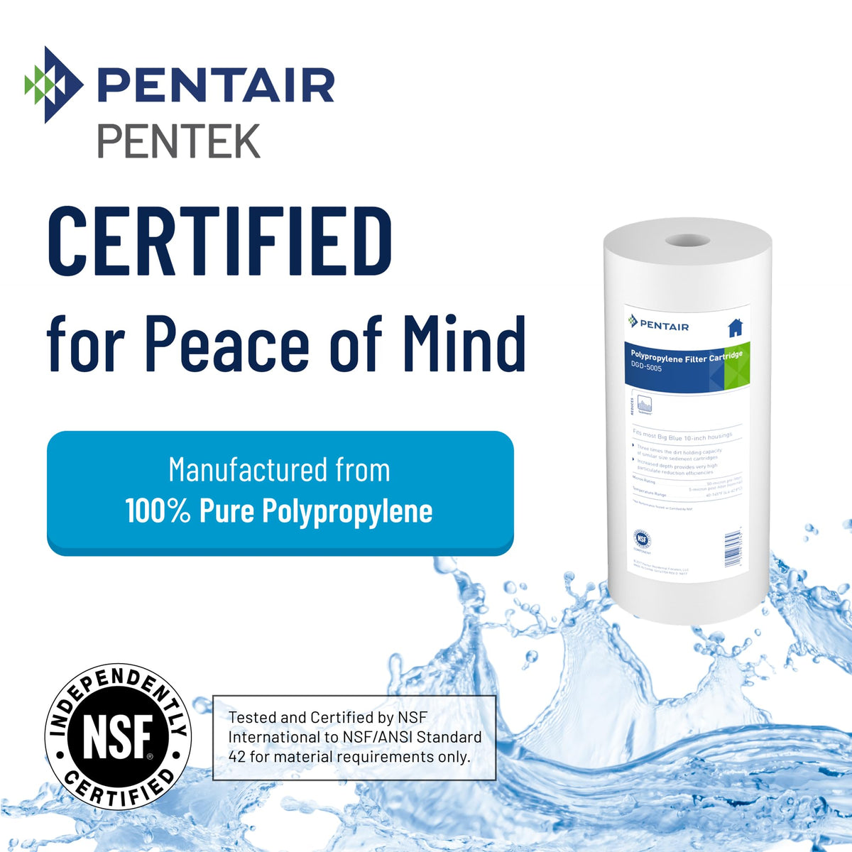Pentair Pentek DGD-5005 Big Blue Whole House Sediment Filter