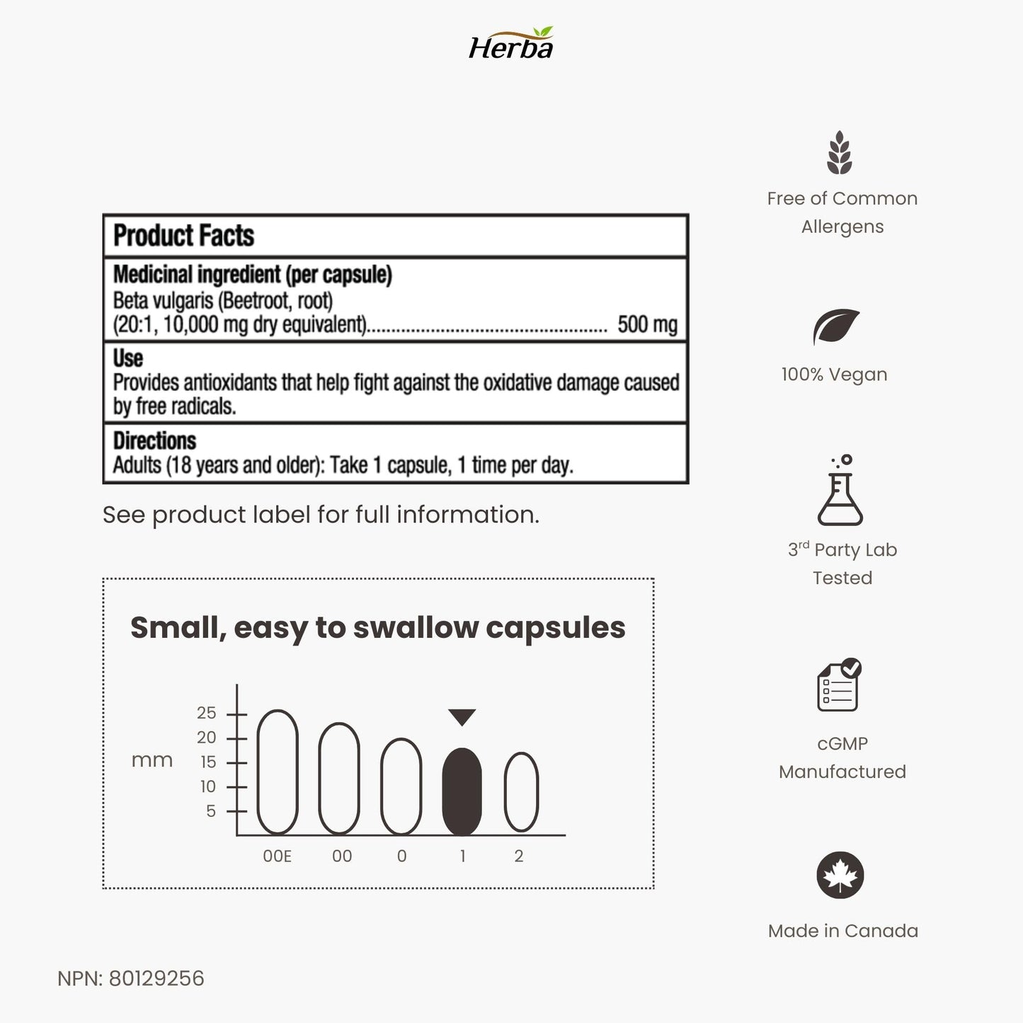 Herba 10,000mg Organic BeetRoot Capsules – 180 Count | 20:1 Beet Root Powder in Capsule | Nitric Oxide Supplements for Men & Women | Made in Canada - Available at All In One Marketplace Canada