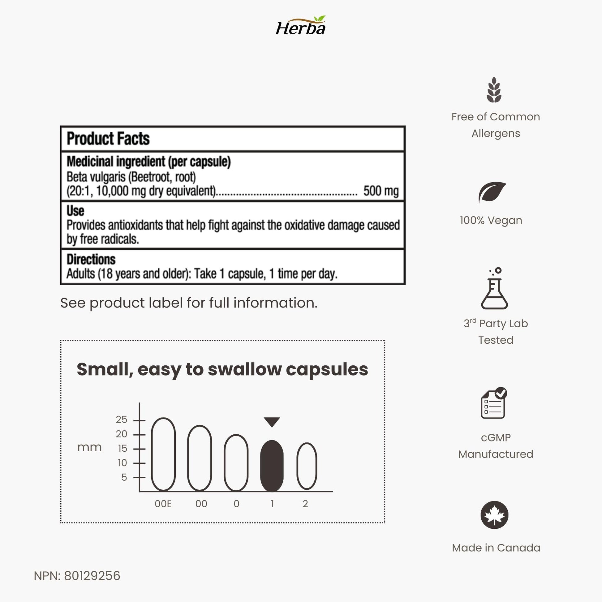 Herba 10,000mg Organic BeetRoot Capsules – 180 Count | 20:1 Beet Root Powder in Capsule | Nitric Oxide Supplements for Men & Women | Made in Canada - Available at All In One Marketplace Canada