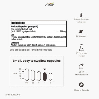 Herba 10,000mg Organic BeetRoot Capsules – 180 Count | 20:1 Beet Root Powder in Capsule | Nitric Oxide Supplements for Men & Women | Made in Canada - Available at All In One Marketplace Canada