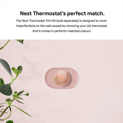 Google Nest Thermostat - Fog Google
