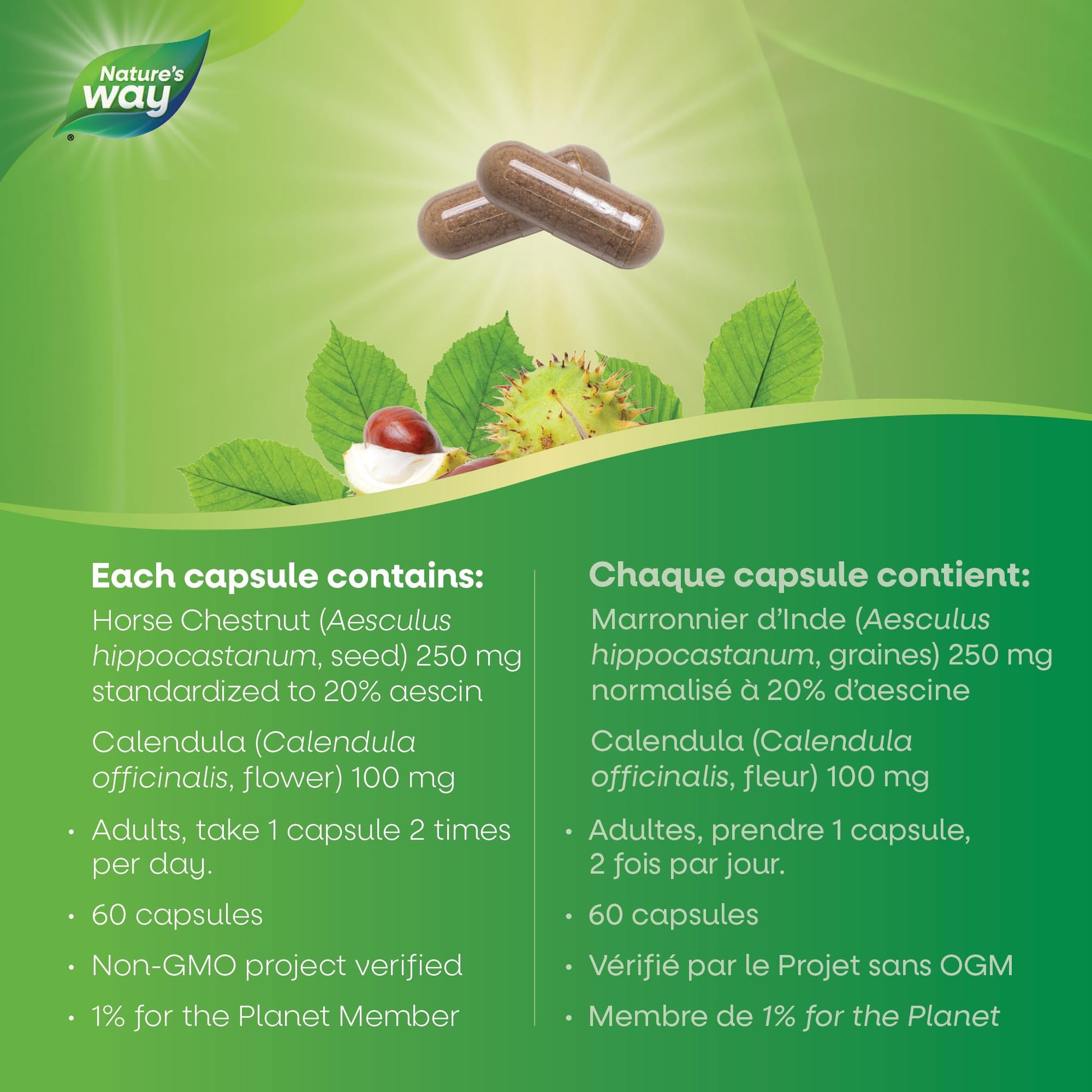 Nature's Way Horse Chestnut Supplement – Helps Treat Varicose Veins and Associated Symptoms – Digestive System Inflammation Relief – 100mg Calendula, 250mg Horse Chestnut – 90 Vegetarian Capsules - Available at All In One Marketplace Canada