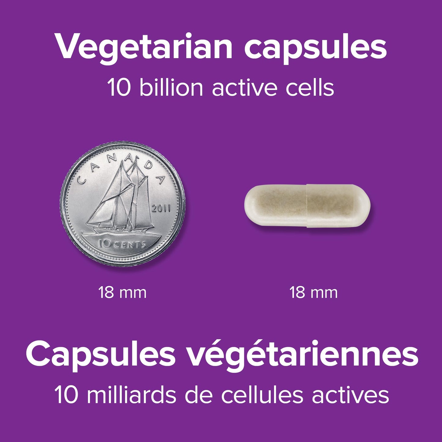 Webber Naturals Probiotic with Prebiotic, 10 Billion Active Cells, 15 Probiotic Strains, 90 Capsules, For Digestive Health, Vegan - Available at All In One Marketplace Canada