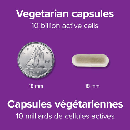 Webber Naturals Probiotic with Prebiotic, 10 Billion Active Cells, 15 Probiotic Strains, 90 Capsules, For Digestive Health, Vegan - Available at All In One Marketplace Canada
