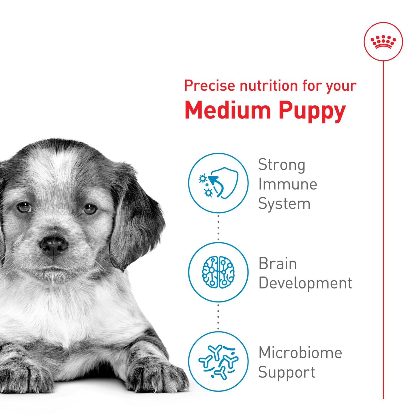 Royal Canin Size Health Nutrition Medium Puppy Dry Dog Food, 4 lb ROYAL CANIN